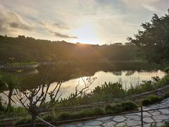 -东莞植物园