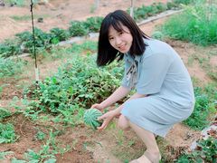 -海堤葡萄园中小学生研学基地