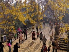 -金堂县云顶石城风景区