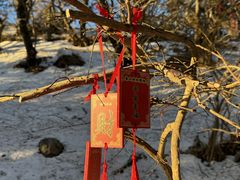 -泰山风景名胜区