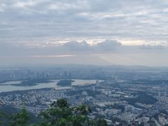 -紫金山山顶公园