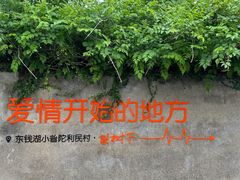 -东钱湖旅游度假区