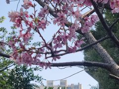-乌山风景区