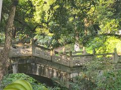 -张坝桂圆林公园