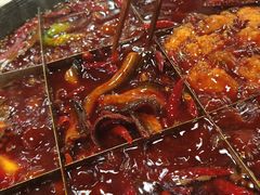 现杀土鳝鱼-铜元老码头鳝鱼火锅