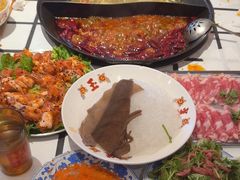 -朱光玉火锅馆(正弘城店)