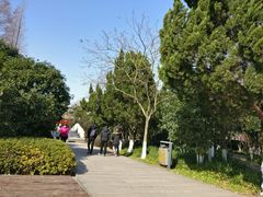 -白马涧龙池景区