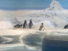 -上海海洋水族馆