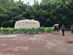 -莲花池公园