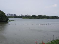 -海珠湖公园