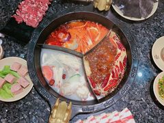 -蜀大侠火锅(森兰花园城店)