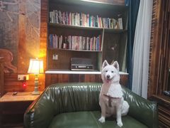 -城墙外BAR