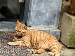 -黎阳老街