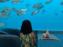-瑞德姆美人鱼海底演艺主题餐厅(亚龙湾店)