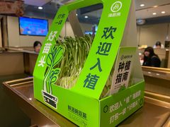 -海底捞火锅(泉城路店)
