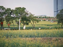 -光明小镇欢乐田园