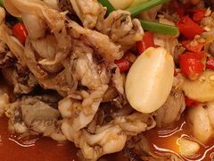 -专业跳跳蛙·彭彭老铺(步行街店)