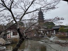 -常熟方塔园