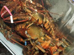 -超级物种·波龙工坊(国贸店)