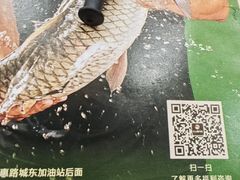 -源港渔村-中山脆肉鲩(博罗店)