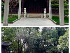 -复旦大学附属华山医院(总院)