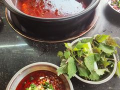 -老杨砂锅鱼庄