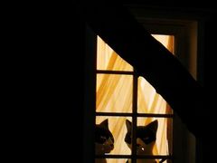 -三鹰之森吉卜力美术馆