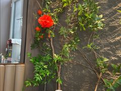 -纪林菜馆·博山菜老字号(八大局店)