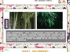 -尼莫儿童美术(三阳路融科天城校区)