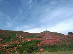 -大围山国家森林公园