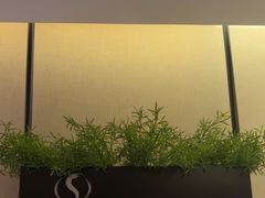 -华夏良子·足道SPA艾灸(王府井店)