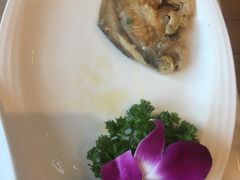 -欢乐海岸美食联盟