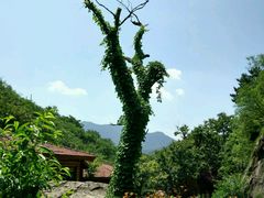 -北京水岸山吧度假村(雁栖镇店)