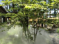 -林间山庄