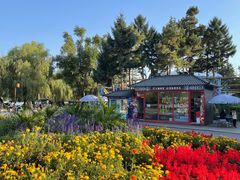 -长春市南湖公园