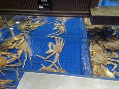 -炊江南·上海菜(国展华漕店)