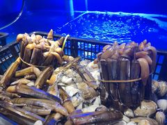 -喜庭海鲜自助(来福士店)