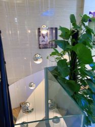 -比华利美容医院