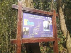 -雁荡山三折瀑景区