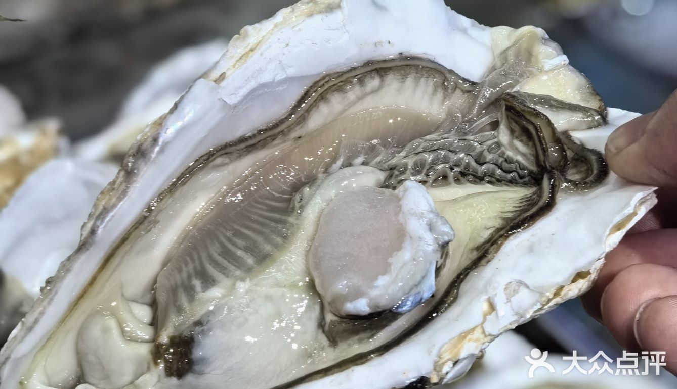 今天我要带你们探索一家超赞的海鲜大排档