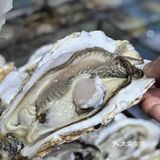 今天我要带你们探索一家超赞的海鲜大排档