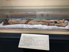 -巴音郭楞蒙古自治州博物馆
