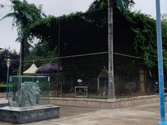 -陕西自然博物馆