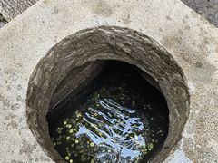 -青岛崂山太清宫
