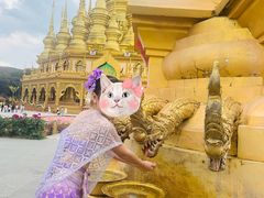 -西双版纳勐泐文化旅游区