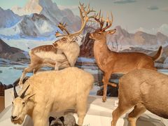 -陕西自然博物馆