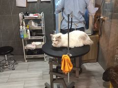 -悠尼宠物·独立低压伊珊娜洗护·美容·寄养(兰谷路店)