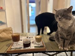 -士多咖啡·Stop Coffee