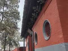 -洛阳白马寺