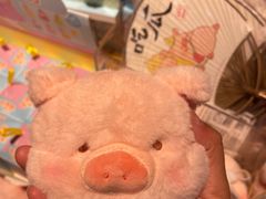 -九木杂物社(新奥购物中心店)